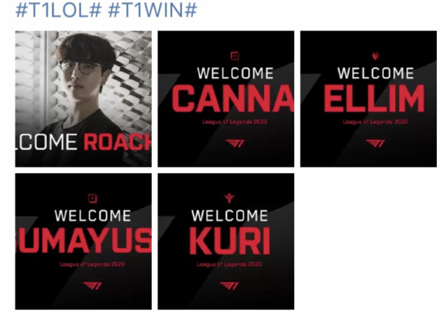 佩德里和加 佩德里和加