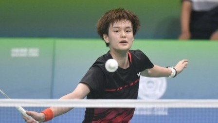 顶级乒乓品